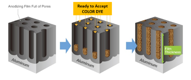 Graphic showing the pores where dye is added
